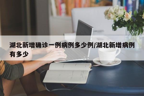 湖北新增确诊一例病例多少例/湖北新增病例有多少